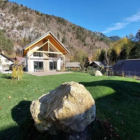 Alpine Wooden With A View