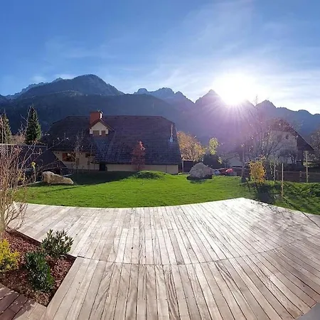 Alpine Wooden With A View