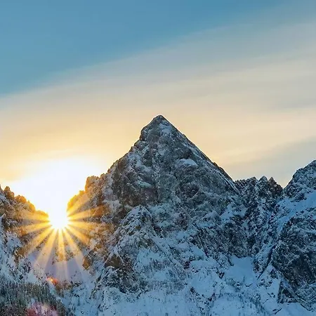 Alpine Wooden With A View Gozd Martuljek
