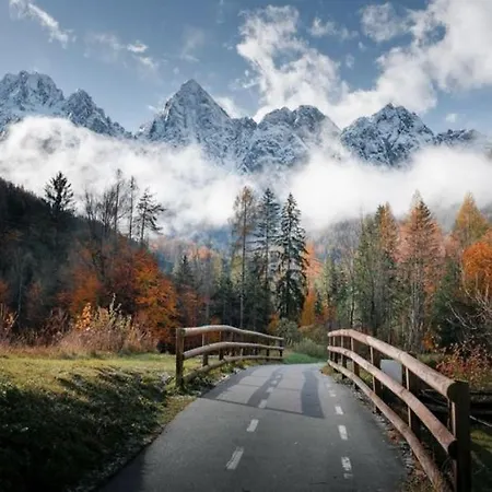 Alpine Wooden With A View Gozd Martuljek