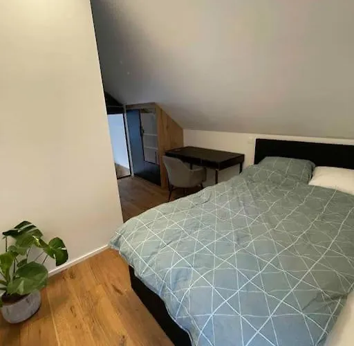 Alpine Wooden With A View