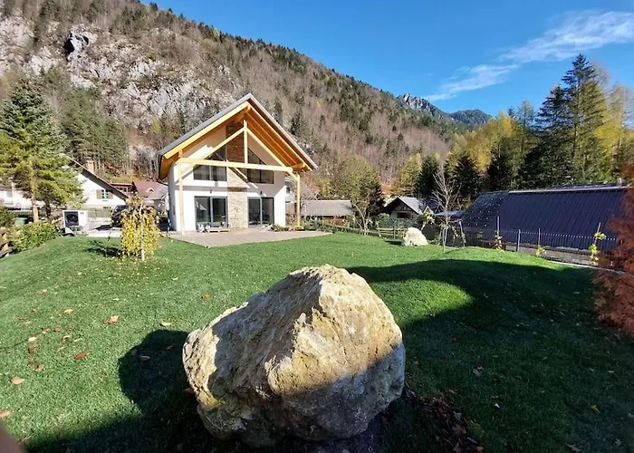 Alpine Wooden With A View